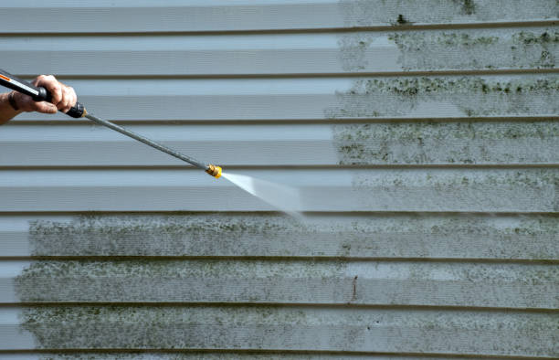 Best House Exterior Washing  in Kraemer, LA